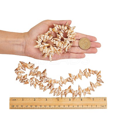 Natural Spiral Shell Beads Strands BSHE-SZ0001-03-1