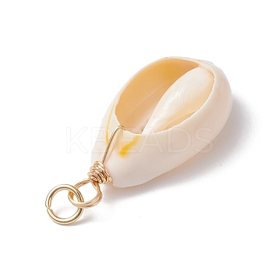 Natural Cowrie Shell Pendants PALLOY-JF03712-03-1