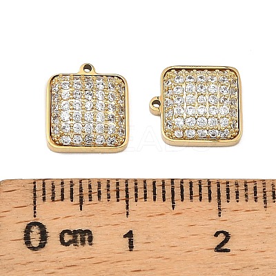 304 Stainless Steel Micro Pave Cubic Zirconia Charms LS-STAS-I356-04G-04-1