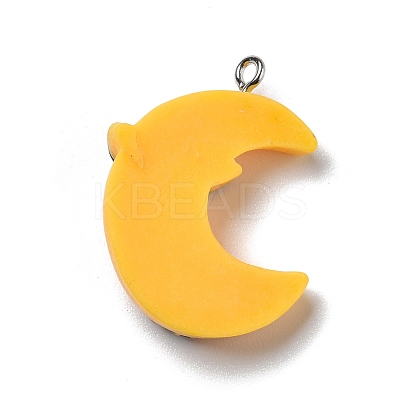 Halloween Opaque Resin Pendants RESI-B011-11-1