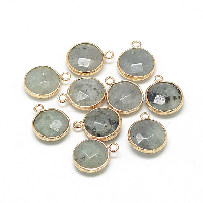 Natural Labradorite Pendants X-G-Q964-12G-1