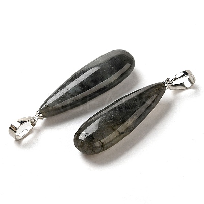 Natural Labradorite Pendants G-Q192-07P-06-1