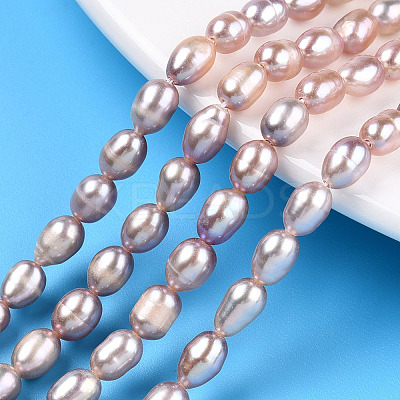 Natural Cultured Freshwater Pearl Beads Strands PEAR-N012-04Q-1