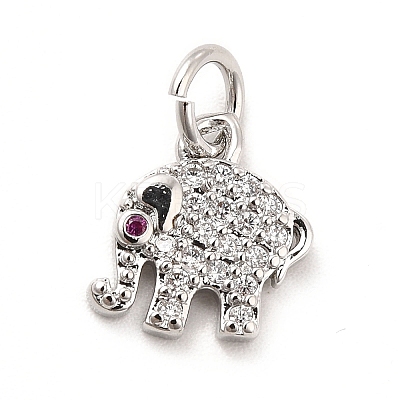 Rack Plating Brass Micro Pave Cubic Zirconia Charms KK-K270-17P-1