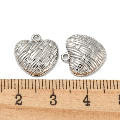 Non-Tarnish 304 Stainless Steel Charms STAS-L022-108P-06-1