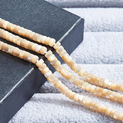 1 Strand Natural Trochid Shell/Trochus Shell Beads Strands BSHE-NB0001-18-1