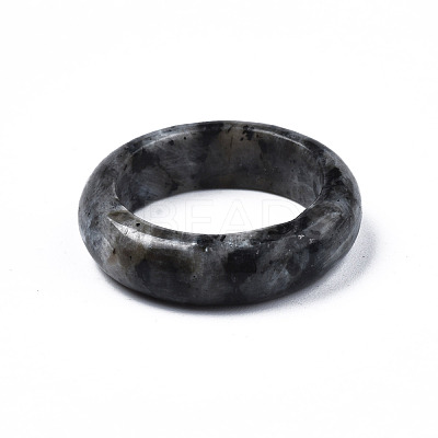 Natural Black Larvikite Plain Band Ring G-N0326-99C-1