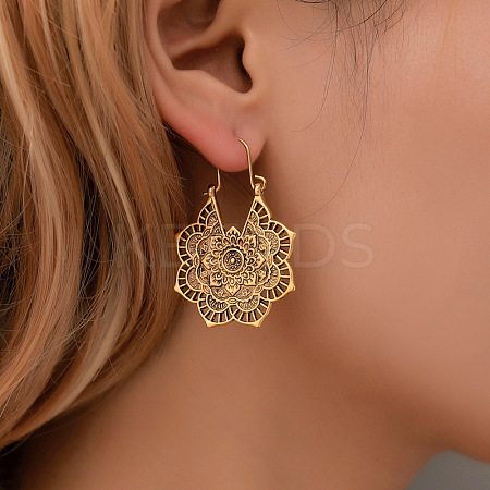 Bohemian Style Alloy Hoop Earrings FS-WG8FE08-01-1