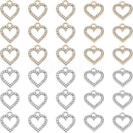 60Pcs 2 Colors Alloy Charms ALRI-FH0001-13-1