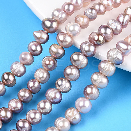 Natural Cultured Freshwater Pearl Beads Strands PEAR-N013-06T-1