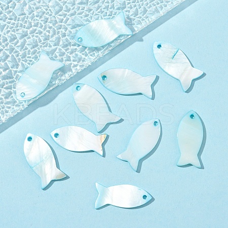 10Pcs Dyed Natural Shell Fish Pendants SHEL-YW0001-13A-1