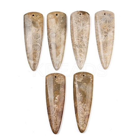 Natural Fossil Coral Pendants G-B187-01C-07-1
