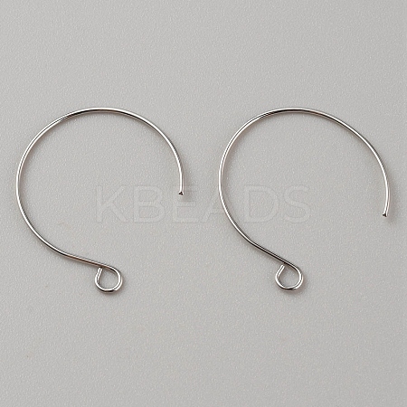 Brass Earring Hooks KK-WH0044-141B-P-1