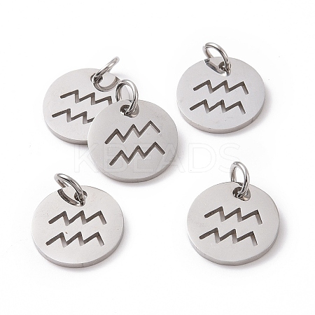 Non-Tarnish 304 Stainless Steel Charms STAS-Q201-T445-11S-1