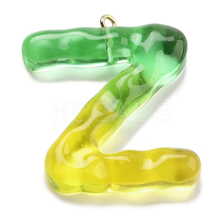Resin Pendant FIND-Q107-01Z-02-1