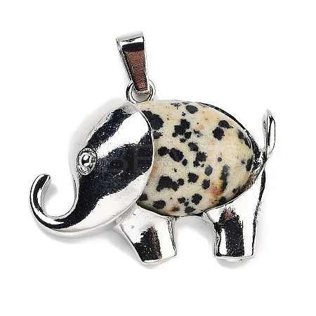 Natural Dalmatian Jasper Pendants G-G112-01P-15-1