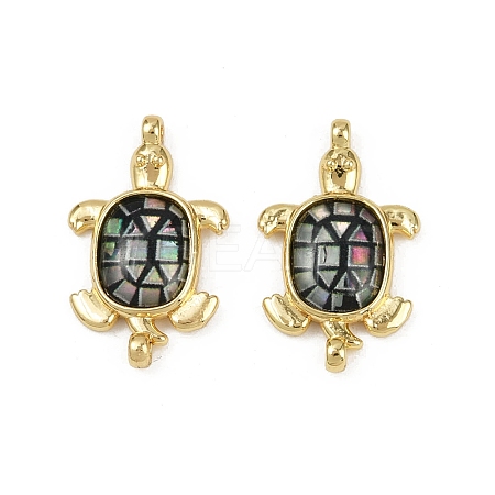 Brass Pave Natural Paua Shell Tortoise Connector Charms KK-C093-21G-1