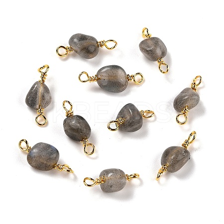 Natural Labradorite Links Connectors G-K316-02C-G-RS-1