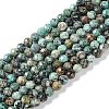 Natural African Turquoise(Jasper) Beads Strands LS-G-N342-29B-1
