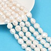 Natural Cultured Freshwater Pearl Beads Strands PEAR-P064-20O-01A-1