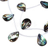 Natural Abalone Shell/Paua Shell Beads Strands SSHEL-N034-160C-01-3