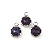 Glass Rhinestone Charms STAS-G082-14-1
