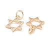 Brass Micro Pave Clear Cubic Zirconia Charms LS-KK-G418-01G-3