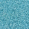 MIYUKI Delica Beads X-SEED-J020-DB1708-3