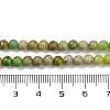 Dyed Natural Regalite/Imperial Jasper/Sea Sediment Jasper Beads Strands G-B124-C04-06-4