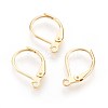 304 Stainless Steel Leverback Earrings Findings X-STAS-F188-10G-1