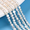 Natural Cultured Freshwater Pearl Beads Strands PEAR-N014-03D-1