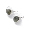 Natural Labradorite Stud Earrings for Women EJEW-E285-01P-03-2