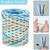 6 Colors Raffia Paper Cords OCOR-WH0063-110D-5