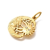 304 Stainless Steel Pendants STAS-R159-61G-03-2