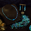24 Styles Luminous Glass Seed Beads SEED-PH0001-72-4