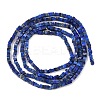 Natural Lapis Lazuli Beads Strands G-K399-B09-01-3