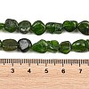 Natural Green Diopside Beads Strands G-G464-A01-02-5