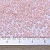 MIYUKI Round Rocailles Beads X-SEED-G007-RR0427-4