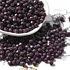 Picasso Baking Paint Glass Seed Beads SEED-A032-02A-17-1