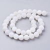 Natural Crackle Agate Beads Strands G-G055-10mm-5-2