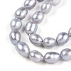 Natural Cultured Freshwater Pearl Beads Strands PEAR-N014-06G-02-4