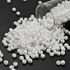 TOHO 6/0 Round Beads SEED-XTR06-0041F-1
