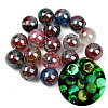 Luminous Transparent Resin Inner Flower Beads RESI-C070-09-1