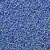 Cylinder Seed Beads SEED-H001-H14-2