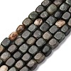Natural Biotite Beads Strands G-B155-D05-2