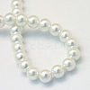 Baking Painted Glass Pearl Round Bead Strands HY-Q003-10mm-01-4