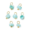 Dyed Natural Freshwater Shell Nuggets Charms PALLOY-JF05032-01-1
