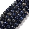 Natural Sodalite Beads Strands G-D481-12B-1
