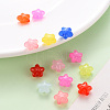 Transparent Acrylic Beads X-MACR-S373-26E-6