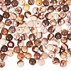GOMAKERER 2 Strands Natural Zebra Jasper Round Beads Strands G-GO0001-34-1